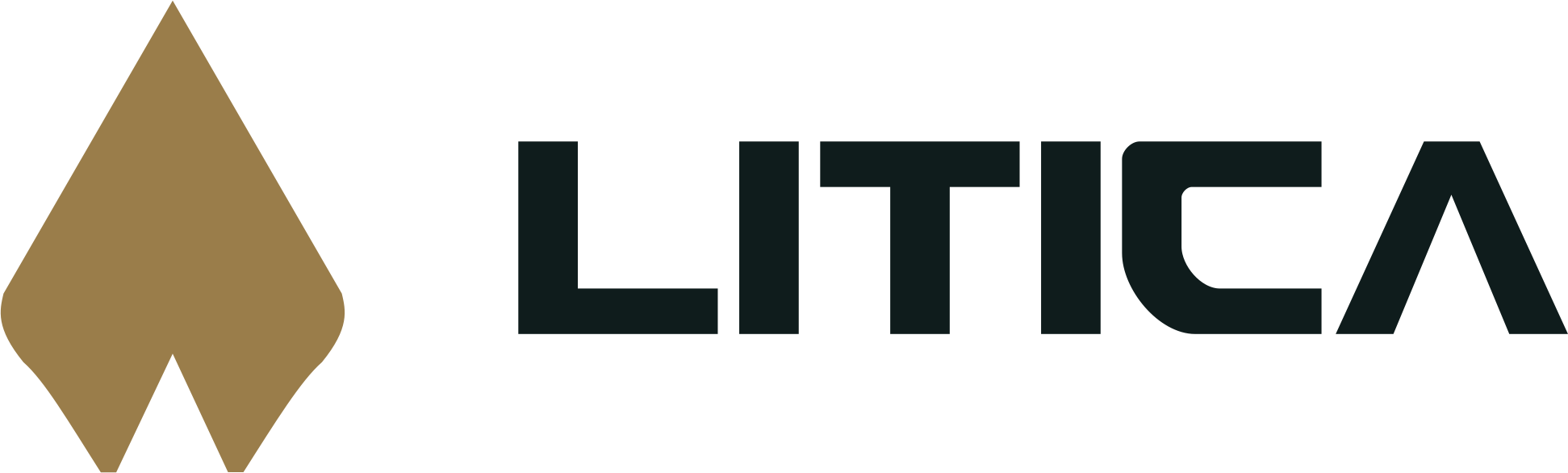 LITICA — Data-Driven Hunting